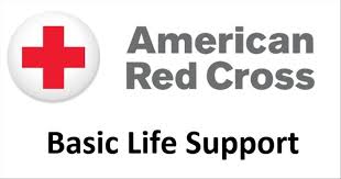 BLS (Basic Life Support) (TO BE SCHEDULED)