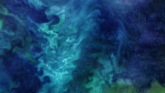 North American Herbalists - Magazine